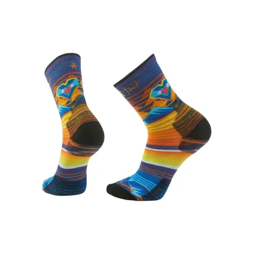Smartwool 1 шт Многоцветные Унисекс MID Носки до икры