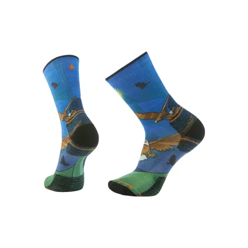 Smartwool 1 шт Синий Унисекс MID Носки до икры