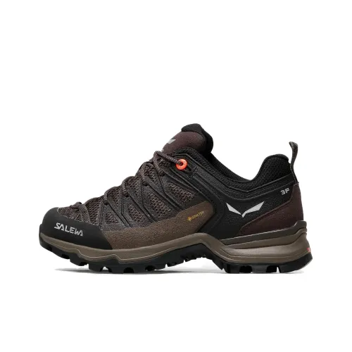 SALEWA Mtn Trainer Lite Альпинистские и туристические ботинки Низкий верх Коричневый Женские