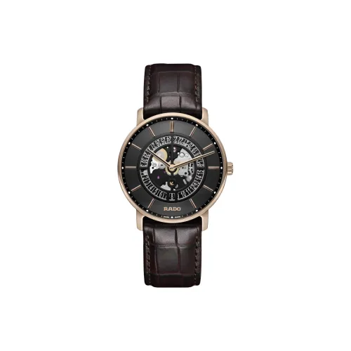 RADO Автоматический Механический Механизм Мужские Часы DiaMaster Collection 41 мм Череп