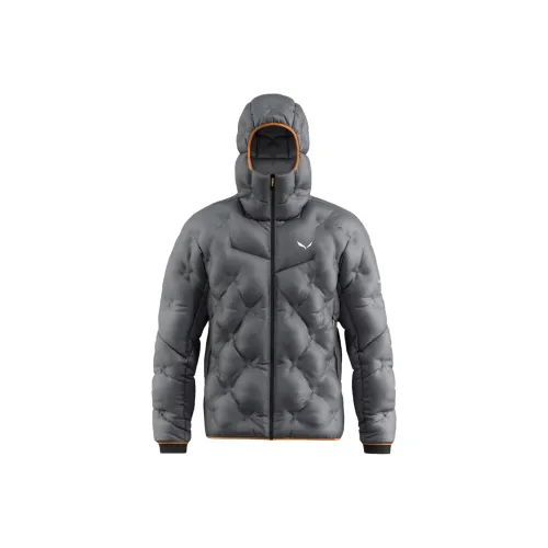 SALEWA Серый Мужской Пух