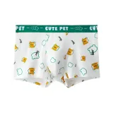 1 Pack [Маленький Зеленый Медведь]