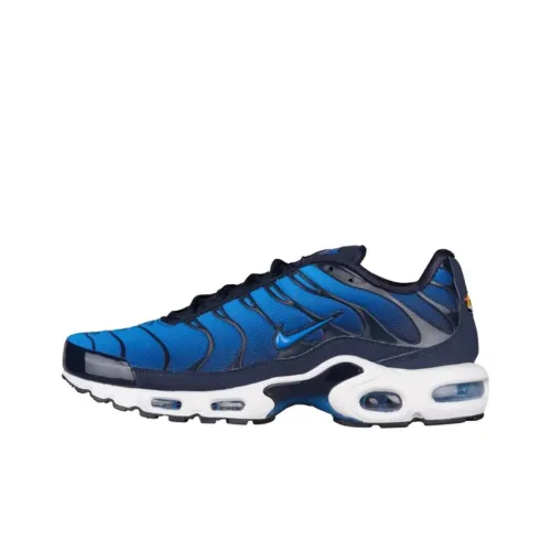 Nike Air Max Plus Abrasion Resistant Низкий Топ Беговые кроссовки Мужские Синие