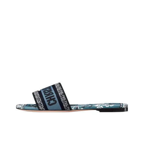 DIOR Dway Слипоны Синие Женские