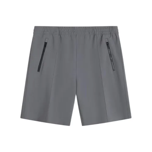 THEORY Charcoal Gray Мужские Повседневные Шорты