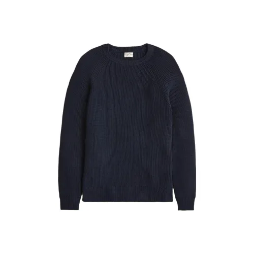 J.Crew Морской Синий Мужской Трикотаж