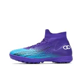 Шипы - фиолетовый, зеленый