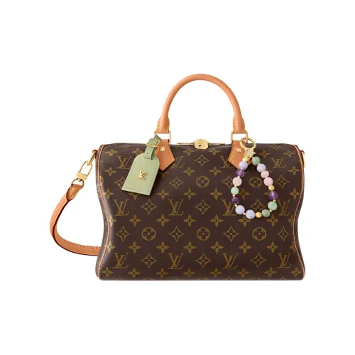 LOUIS VUITTON SPEEDY SOFT Монограмма Холст Сумка Женская Коричневая
