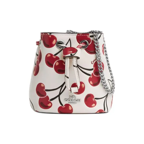 COACH Коровья кожа Сумка Женская Белая