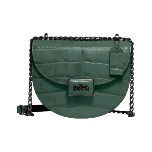 COACH Alie Коровья кожа Сумка через плечо Седло Сумка Женская Яшма