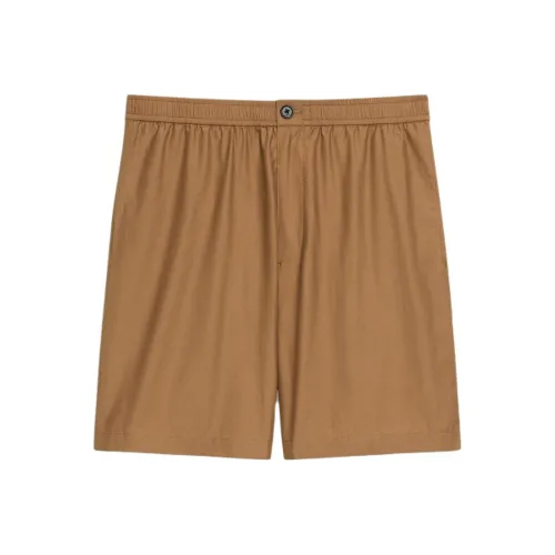 THEORY Темные Табачные Мужские Повседневные Шорты