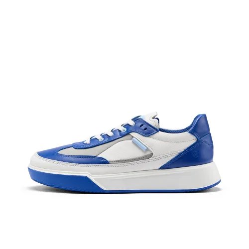 Ecco Low Топ Скейтборд Кроссовки Мужские Белый Королевский Синий Серый Голубь