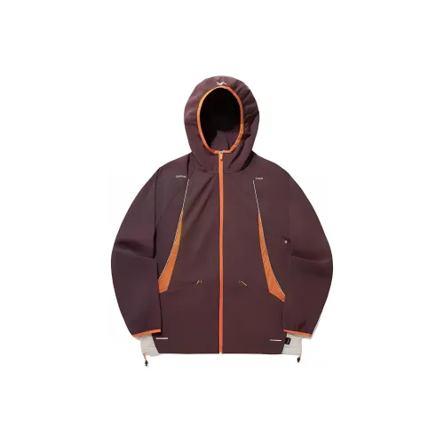 Лайнер Тренч Унисекс Коричневый