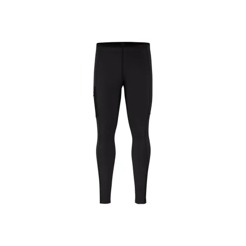 Arcteryx RHO LT Повседневные брюки Мужской