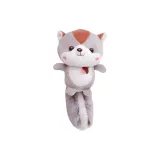 Белка серая