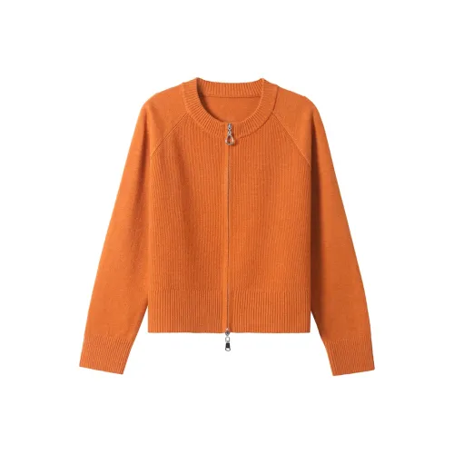 MJ Весенний Осенний Комплект Трикотаж Женский