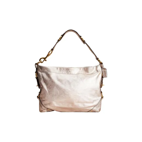 COACH Carly Металл Кожа Тоут Сумка Сумка для покупок Сумка-хобо Сумка Сумка через плечо Женская Платина