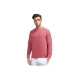 Шиповниковый красный