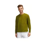 Сосновый зеленый