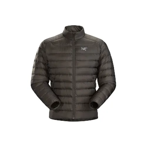 Arcteryx Cerium LT Пуховики и зимние пальто Мужской