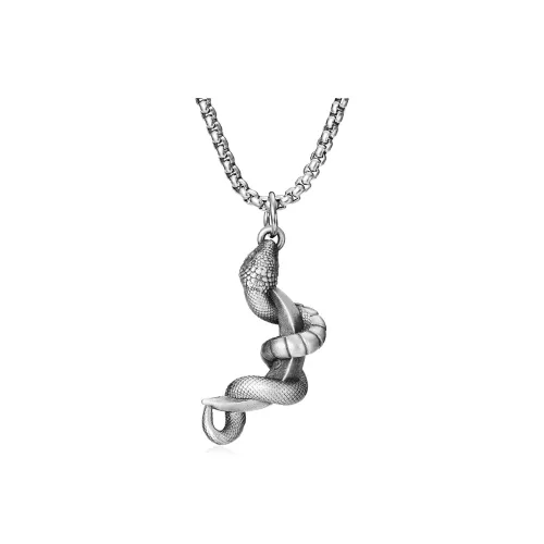 EVBEA Титановые стальные ожерелья для мужчин