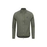 Лорел дерева