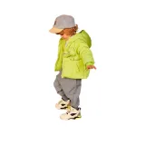 Цвет зеленого авокадо