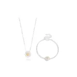 Маргаритка Комбо Набор