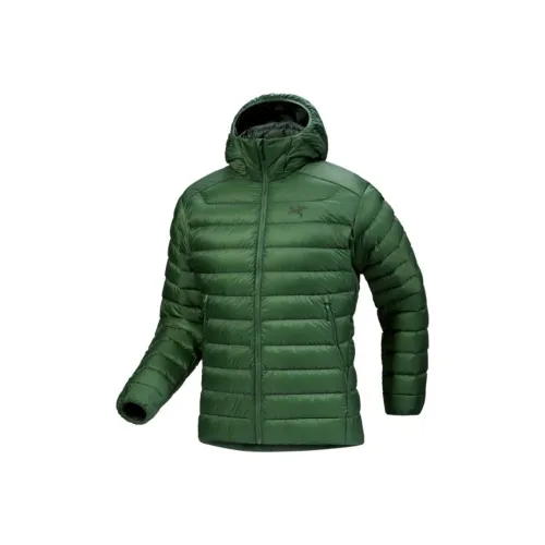 Arcteryx Cerium FW24 Пуховик Мужской