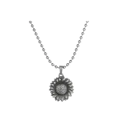 DWCP Титановые стальные ожерелья унисекс