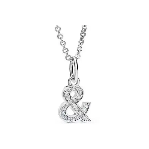 TIFFANY & CO. Ожерелья Серебряные Женские