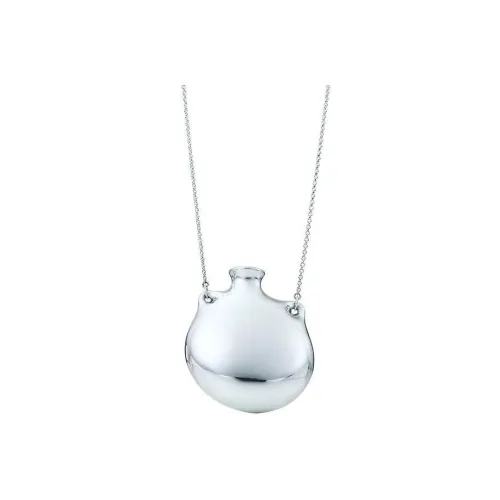 TIFFANY CO. Elsa Peretti® Серебряные ожерелья Women's Silver