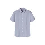 Исполнительный серый