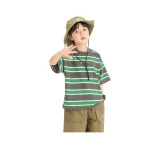 Зелёные полосы