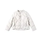 Серебристo-серый