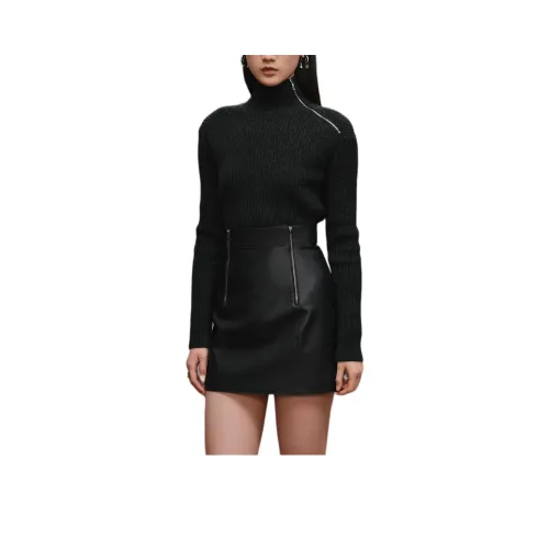 HERMES FW25 Кожаные короткие юбки Женские Черный