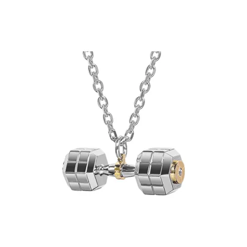 RAWNESS Титановые стальные ожерелья мужские