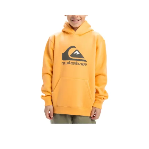 Quiksilver Толстовка Chamoy Подростки