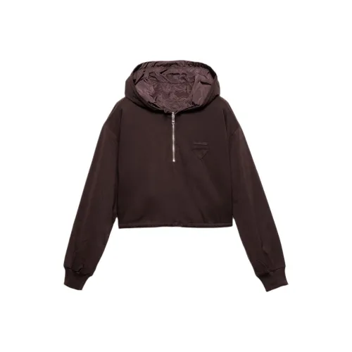 PRADA Коричневый Женский Свитшот