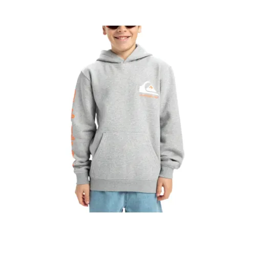 Quiksilver Толстовка Серого цвета для Подростков