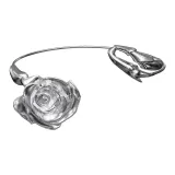 Серебряный цвет, цветы