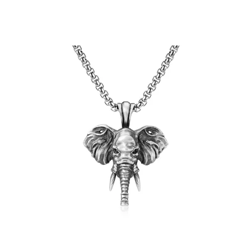 EVBEA Титановая сталь Олово Ожерелья Унисекс