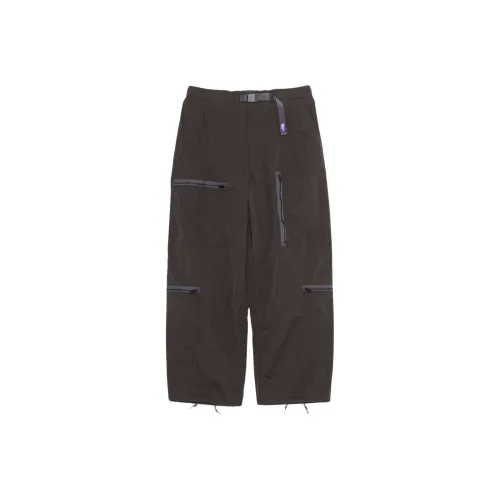 THE NORTH FACE PURPLE LABEL Брушированный Погода Stroll Field Карго Брюки Мужские