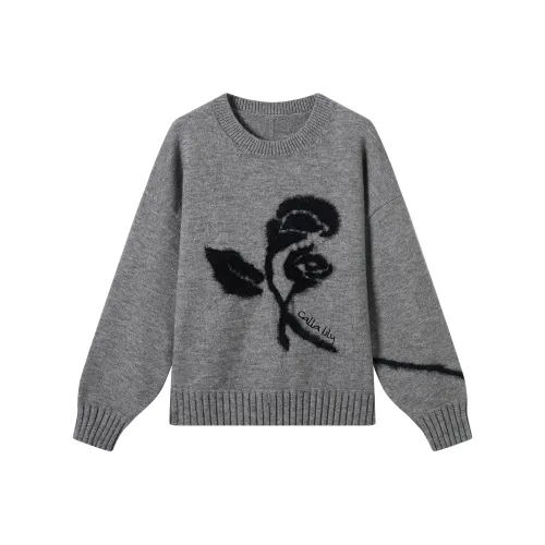 DIALOGUE x AISAKE.GELUNEIWAERDEYISHUHUAZUO LIANMINGKUAN Свитер Женские