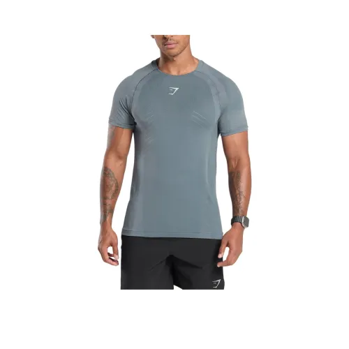 GYMSHARK Apex Бесшовный T Рубашка Мужская Железо Синий Холодный Синий