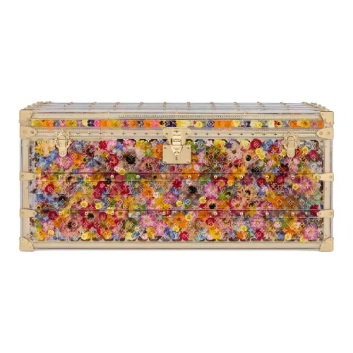 LOUIS VUITTON Nigo Collaboration COURRIER LOZINE Акриловый Твердый Чехол Хранение Коробка Унисекс Многоцветный