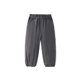 Железно-серый 20613