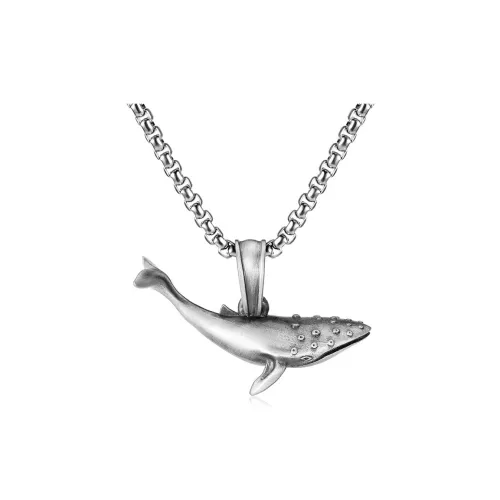 EVBEA Титановые стальные ожерелья унисекс