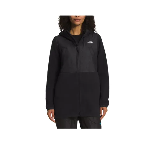 THE NORTH FACE FW22 Королевский Arch PARKA Пальто Женское