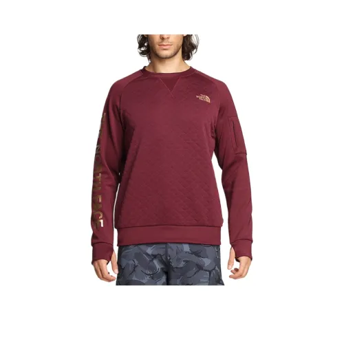 THE NORTH FACE Толстовка Мужская